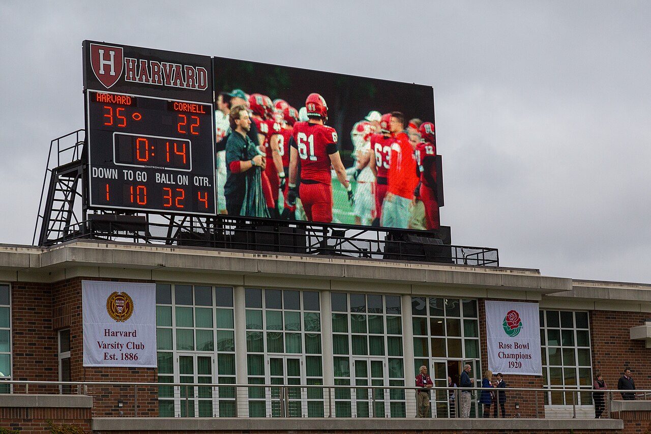 球星解析｜凯恩 技术特点·赛季数据·比赛影响力（英格兰） - 米兰体育 资讯